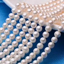 Seashell Color Natural Cultured Freshwater Pearl Beads Strands, Round, Seashell Color, 6~6.5mm, Hole: 0.8mm, about 59~60pcs/strand, 14.17 inch(36cm)