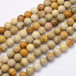 Fossil Coral Natural Fossil Coral Beads Strands, Round, 4mm, Hole: 1mm, about 90pcs/strand, 15.7 inch(40cm)