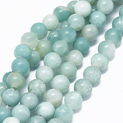Amazonite Chapelets de perles amazonite naturelles  , ronde, 8mm, Trou: 2mm, Environ 48 pcs/chapelet, 14.1 pouce