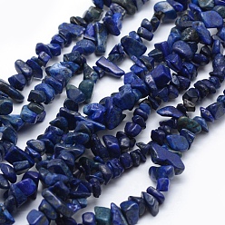Lapis Lazuli Lapis-lazuli, brins de perles naturels , teint, puce, 5~8mm, Trou: 1mm, environ 33 pouces (84 cm)