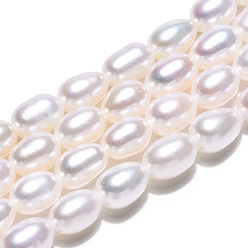 Color de la concha Hilos de perlas de agua dulce cultivadas naturales, arroz, color de concha, 6~6.5x4~5 mm, agujero: 0.7 mm, sobre 51 unidades / cadena, 13.78 pulgada (35 cm)