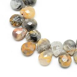 Agate Crazy Lace Brins de perles de pierres précieuses d'agate folle naturelle, perles percées, facette, larme, 12x9~10x6mm, Trou: 1mm, Environ 30 pcs/chapelet, 11.81 pouce