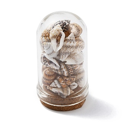 Blanco Decoraciones de exhibición de botellas de cúpula de vidrio, con cuenta de concha natural en el interior y base de corcho, blanco, 46~48x25 mm