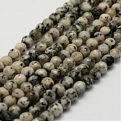 Gainsboro Natural Larvikite Bead Strands, Dyed & Heated, Round, Faceted, Gainsboro, 6mm, Hole: 0.5mm, about 64pcs/strand, 14.9 inch(38cm)