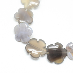 Grey Agate Natural Grey Agate Bead Strands, Flower, 15.5~16x16x6mm, Hole: 1mm, about 25pcs/strand, 15.1 inch