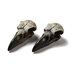 Black Crow Raven Bird Skull Resin Home Display Decoration, Black, 60x28x21mm, Hole: 4mm