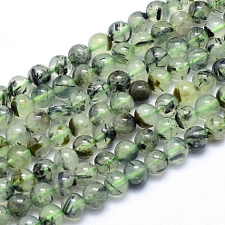 Prehnite Natural Prehnite Beads Strands, Round, 4mm, Hole: 1mm, about 84pcs/strand, 15.5 inch(39.5cm)