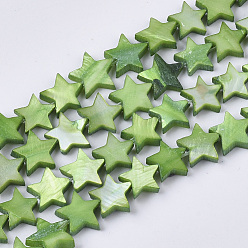 Зеленый Пресноводных оболочки бисер нитей, окрашенные, звезда, зелёные, 9~10.5x9.5~11.5x2~3 мм, отверстие : 1 мм, около 38 шт / нитка, 11.8 дюйм ~ 13.3 дюйм