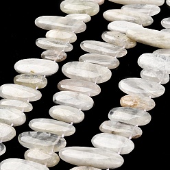 Moonstone Natural Moonstone Beads Strands, Top Drilled, Oval Charms, 8~17.5mm wide, 16.5~44mm long, 3~8mm thick, hole: 0.9mm, about 32pcs/strand, 15.75''~(40~41cm)