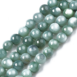 Vert De Mer Clair Eau douce naturelle de coquillage perles brins, teint, ronde, vert de mer clair, 2.5mm, Trou: 0.5mm, Environ 122~136 pcs/chapelet, 14.57 pouces~15.63 pouces (37cm~39.7cm)
