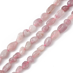 Tourmaline Natural Plum Blossom Tourmaline Beads Strands, Chip, 6~12x6~8x6~8mm, Hole: 1mm, about 45~47pcs/strand, 15.35''(39cm)