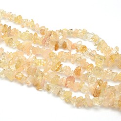 Citrine Natural Citrine Beads Strands, Chips, 5~8x5~8mm, Hole: 1mm, about 31.5 inch