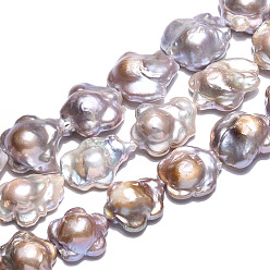 Rosada Marrón Hebras de perlas keshi nucleadas naturales barrocas, perla cultivada de agua dulce, flor, marrón rosado, 15~30x15~23.5x6~10 mm, agujero: 0.6 mm, sobre 18~24 unidades / cadena, 14.96~15.75 pulgada (38~40 cm)