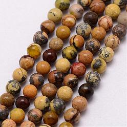 Turquoise Jaune Brins de perles turquoise jaune naturel (jaspe), ronde, 3~3.5mm, Trou: 0.7mm, Environ 115~125 pcs/chapelet, 16 pouce