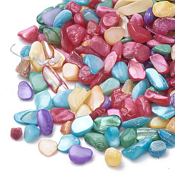 Mixed Color Shell Beads, No Hole Beads, Dyed, Chip, Mixed Color, 1~15x1~15x0.5~5mm, about 450g/bag