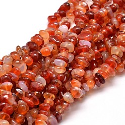 Carnelian Dyed Natural Carnelian Chip Beads Strands, 4~14x4~12mm, Hole: 1mm, about 15.3 inch~16.1 inch