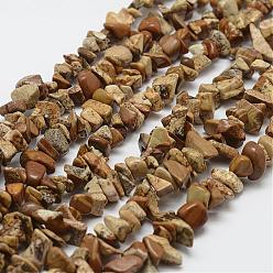 BurlyWood Natural Picture Jasper Beads Strands, Chip, BurlyWood, 3~5x7~13x2~4mm, Hole: 0.4mm, 31.5 inch