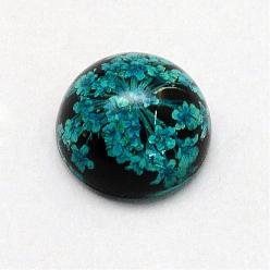 Teal Resin Cabochons, Dome, Half Round, with Dried Flower inside, Teal, 11.5~12x6~6.5mm