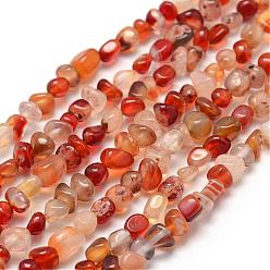 Cornaline Teints naturels perles de cornaline brins, nuggets, 3~5x3~5x3~8mm, Trou: 1mm, Environ 85~90 pcs/chapelet, 15.7 pouce (40 cm)