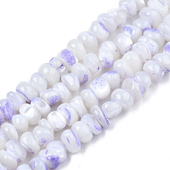 WhiteSmoke Natural Sea Shell Beads Strands, Dyed, Chips, WhiteSmoke, 2~7x5~7.5x4.5~7mm, Hole: 0.5~0.7mm, about 97~105pcs/strand, 15.55 inch~15.98 inch(39.5cm~40.6cm)