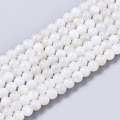 Blanc Floral Eau douce naturelle de coquillage perles brins, teint, ronde, floral blanc, 2.5mm, Trou: 0.7mm, Environ 150~190 pcs/chapelet, 14.96 pouces ~ 15.75 pouces