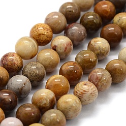 Fossil Coral Natural Fossil Coral Beads Strands, Round, 10mm, Hole: 1mm, about 38pcs/strand, 15.3 inch(39cm)