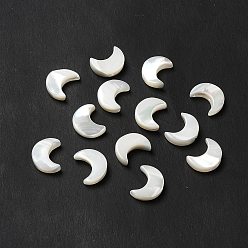 Seashell Color Natural Freshwater Shell Beads, Moon, Seashell Color, 12x9.5x3mm, Hole: 0.9mm