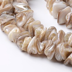 Tan Natural Freshwater Shell Bead Strands, Tan, 10~25x10~25x3~10mm, Hole: 1mm, about 62pcs/strand, 15.4 inch