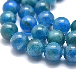 Apatite Natural Apatite Beads Strands, Round, 8~8.5mm, Hole: 0.6mm, about 49pcs/Strand, 15.35 inch(39cm)