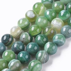 Green Natural Striped Agate/Banded Agate Beads Strands, Dyed & Heated, Round, Green, 10mm, Hole: 1.2mm, about 37pcs/strand, 14.65 inch(37.2cm)