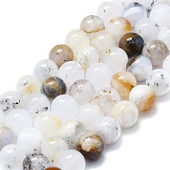White African Opal Natural White African Opal Beads Strands, Round, 8mm, Hole: 0.8mm, about 48~52pcs/strand,15.35''~16.54''(39~42cm)