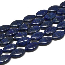 Lapislázuli Hilos de cuentas de lapislázuli natural, ojo del caballo, 20x12~12.5x6 mm, agujero: 1 mm, sobre 20 unidades / cadena, 15.16'' (38.5 cm)