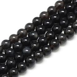 Obsidienne Obsidienne naturelle perles brins, ronde, 6x6mm, Trou: 1mm, Environ 62 pcs/chapelet, 15.5 pouce