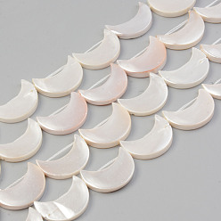 Seashell Color Electroplate Natural Freshwater Shell Beads Strands, Moon, Seashell Color, 21x14~15.5x3mm, Hole: 1mm, about 19pcs/strand, 15.55 inch~15.75 inch(39.5cm~40cm)
