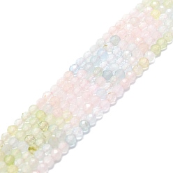Morganite Chapelets de perles morganite naturelles  , facette, ronde, 3mm, Trou: 0.7mm, Environ 116~125 pcs/chapelet, 15.16~15.55 pouce (38.5~39.5 cm)