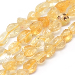 Citrine Natural Citrine Beads Strands, Tumbled Stone, Nuggets, 6~10x5~6.5x3~6mm, Hole: 1mm, about 15.55 inch(39.5cm)