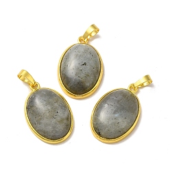 Labradorite Natural Labradorite Pendants, Oval Charms, with Rack Plating Golden Plated Brass Findings, Lead Free & Cadmium Free, 31x20x7.5~8mm, Hole: 7x5mm
