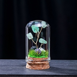Зеленый Авантюрин Натуральные зеленые авантюрные дисплеи, миниатюрные растения, террариум со стеклянным колпаком и пробковым основанием, дерево, 30x57 мм