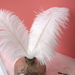 White Ostrich Feather Ornament Accessories, for DIY Photo Props, Backdrop Craft, White, 300~350mm