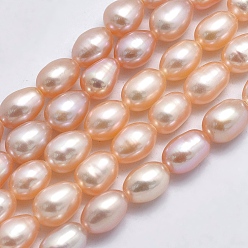 Light Salmon Natural Cultured Freshwater Pearl Beads Strands, Rice, Light Salmon, 6~9x5~6mm,  Hole: 0.8mm, about 48pcs/strand, 13.78 inch(35cm)