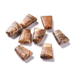 Picture Jasper Natural Picture Jasper Beads, Faceted, Trapezoid, 14x10x4.5mm, Hole: 1.2mm