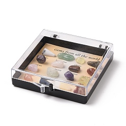 Piedra Mixta Colecciones de pepitas de piedras preciosas naturales, para la enseñanza de las ciencias de la tierra, caja:78x69x18mm, diámetro interior: 67x67 mm, la piedra preciosa: 8~14x5~8 mm, 16 unidades / caja