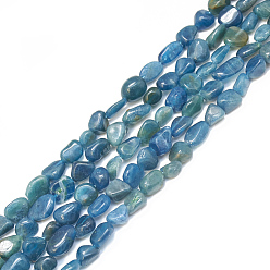 Apatite Natural Apatite Beads Strands, Tumbled Stone, Nuggets, 4~15x4~8x3~7mm, Hole: 1mm, about 40~70pcs/strand, 15.7 inch