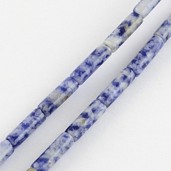 Jaspe Avec Point Bleu Perles naturelles de pierres précieuses de tache bleue brins, Tube, tache bleue jasper, 13x4~5mm, Trou: 1mm, Environ 27~30 pcs/chapelet, 15.3 pouce