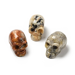 Crazy Agate Halloween Natural Crazy Agate Display Decorations, Home Decorations, Skull, 35~37x30~31x48~50.5mm