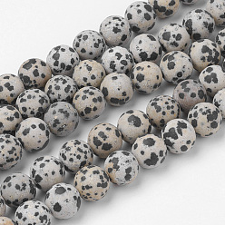 Jaspe Dalmate Dalmatien naturel Jasper brins de perles, ronde, givré, 12~12.5mm, Trou: 2mm, Environ 31~32 pcs/chapelet, 14.9 pouce (38 cm)