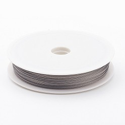 Raw Tiger Tail Wire, Nylon-coated Stainless Steel, Light Grey, 0.35mm, about 164.04 Feet(50m)/roll