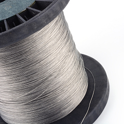 Raw Tiger Tail Wire, Nylon-coated 304 Stainless Steel, Silver, 0.3mm, about 10826.77 Feet(3300m)/1000g