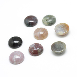 Agate Indienne Cabochons naturels de pierre gemme d'agate indienne, demi-tour, 10x5mm