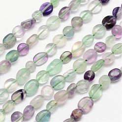 Fluorite Natural Fluorite Bead Strands, Tumbled Stone, Nuggets, 8~10x8~10mm, Hole: 1mm, about 15.74 inch